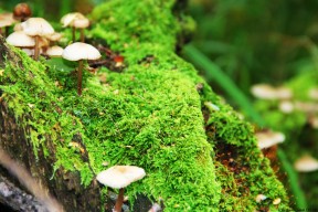 世界帆船赛事气象监测站建设与维护资金计划，海洋气象监测船